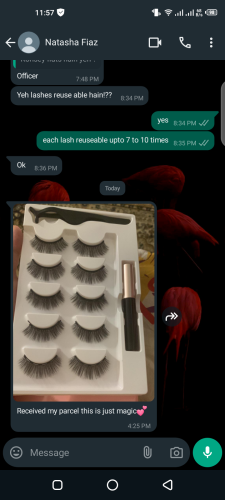 Magnetic Eyelashes with Eyeliner Kit (7 Piece Set) photo review